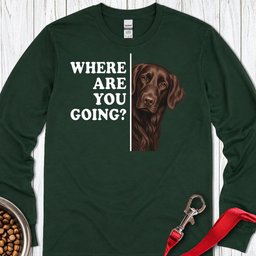 Flat Coated Retriever Where Are You Going Long Sleeve Shirt Gift For Dog Lover