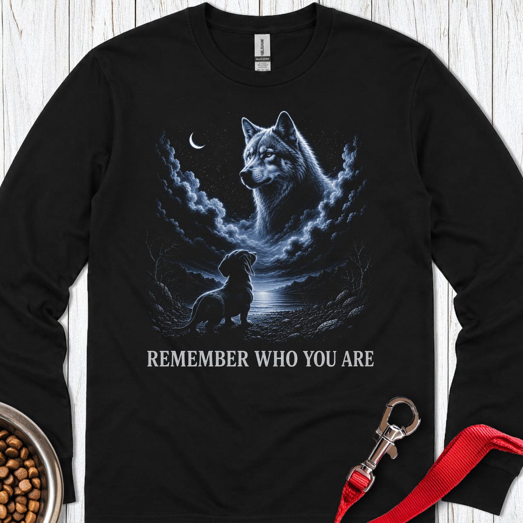 Dachshund Origin Story Long Sleeve Shirt Gift For Dog Lover