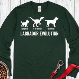 Labrador Evolution Long Sleeve Shirt Gift For Dog Lover