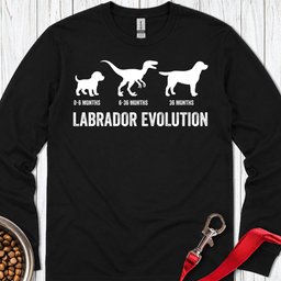 Labrador Evolution Long Sleeve Shirt Gift For Dog Lover