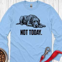 Not Today Irish Wolfhound Long Sleeve Shirt Gift For Dog Lover