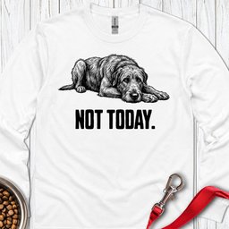 Not Today Irish Wolfhound Long Sleeve Shirt Gift For Dog Lover