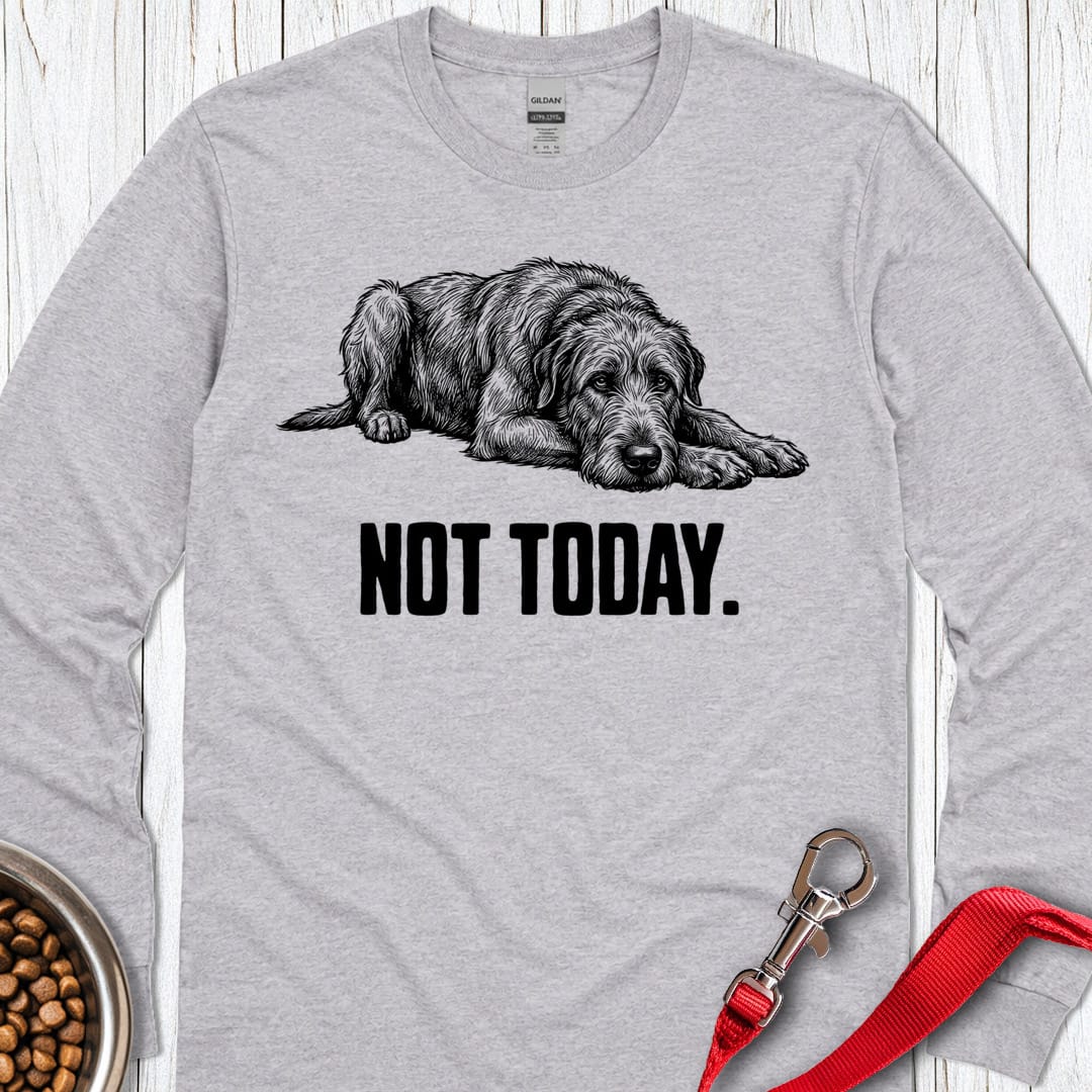 Not Today Irish Wolfhound Long Sleeve Shirt Gift For Dog Lover