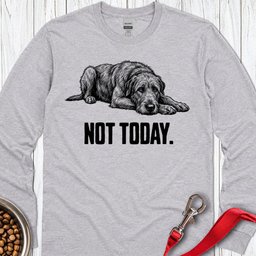 Not Today Irish Wolfhound Long Sleeve Shirt Gift For Dog Lover