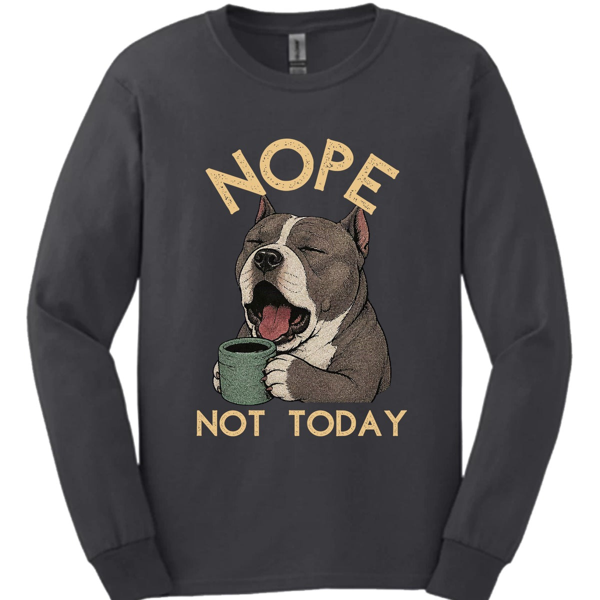 American Bully Not Today Long Sleeve Shirt Gift For Dog Lover