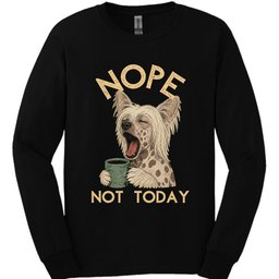 Chinese Crested Not Today Long Sleeve Shirt Gift For Dog Lover