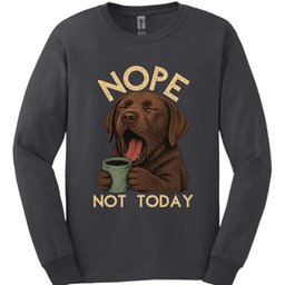 Chocolate Labrador Not Today Long Sleeve Shirt Gift For Dog Lover