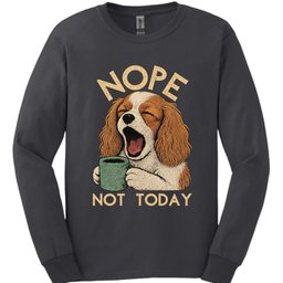 Cavalier King Charles Spaniel Not Today Long Sleeve Shirt Gift For Dog Lover