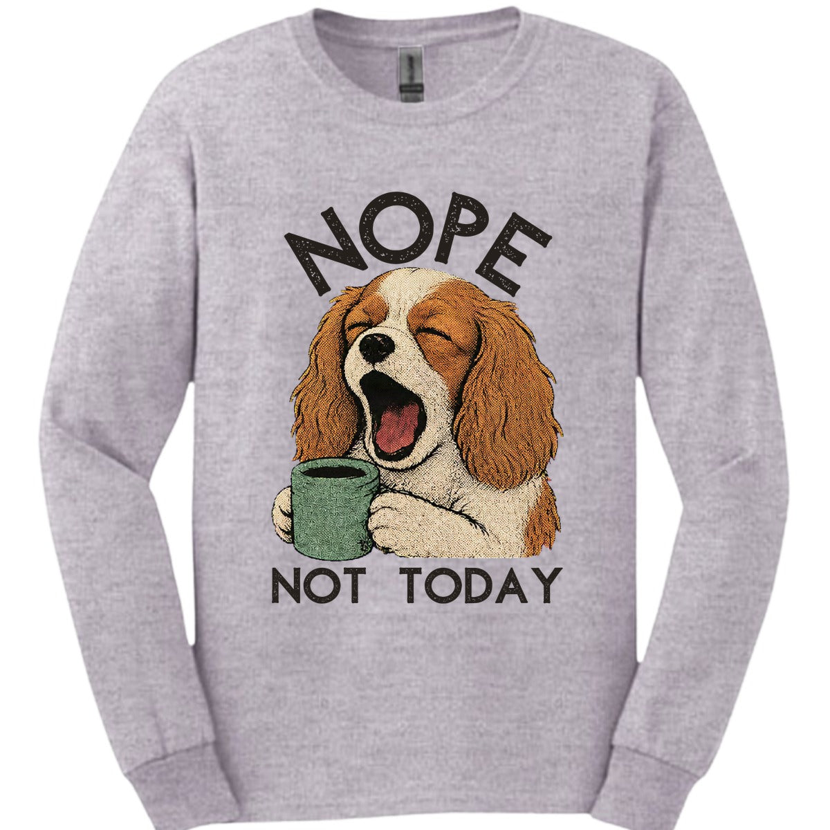 Cavalier King Charles Spaniel Not Today Long Sleeve Shirt Gift For Dog Lover