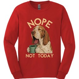 Bracco Italiano Not Today Long Sleeve Shirt Gift For Dog Lover