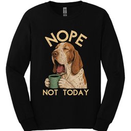 Bracco Italiano Not Today Long Sleeve Shirt Gift For Dog Lover