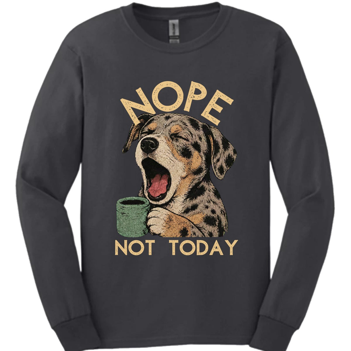 Catahoula Leopard Not Today Long Sleeve Shirt Gift For Dog Lover