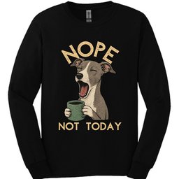 Italian Greyhound Not Today Long Sleeve Shirt Gift For Dog Lover