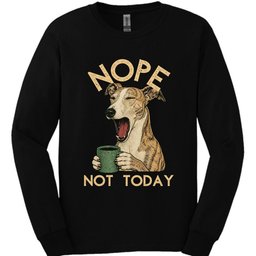 Galgo Not Today Long Sleeve Shirt Gift For Dog Lover