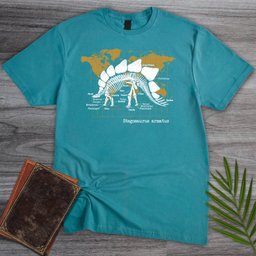 About that Stego T-Shirt