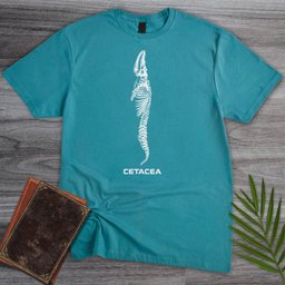 Cetacea Whale Skeleton T Shirt Gift For Nature Lover