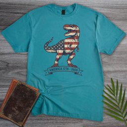 Distressed T Rex Americas 250th T Shirt Gift For Dinosaur Lover
