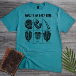 Fossils Of Deep Time T Shirt Gift For Nature Lover