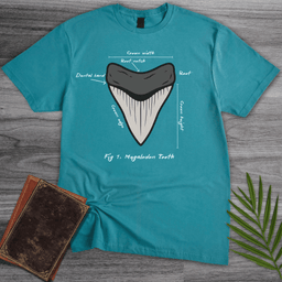 Figure 1 Megalodon Tooth T Shirt Gift For Nature Lover