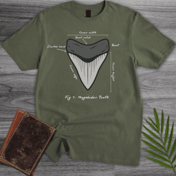 Figure 1 Megalodon Tooth T Shirt Gift For Nature Lover