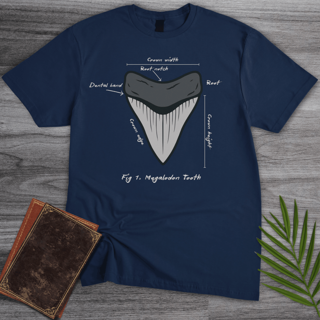Figure 1 Megalodon Tooth T Shirt Gift For Nature Lover
