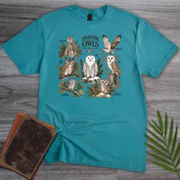 Field Guide To Owls T Shirt Gift For Nature Lover