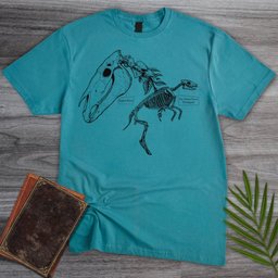 Eohippus And Equus Ferus T Shirt Gift For Nature Lover