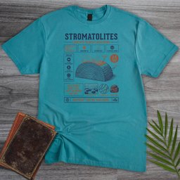 Oldest Builders Stromatolites T Shirt Gift For Nature Lover