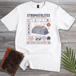 Oldest Builders Stromatolites T Shirt Gift For Nature Lover