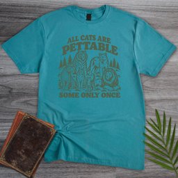 Petting All Cats T Shirt Gift For Cat Lover