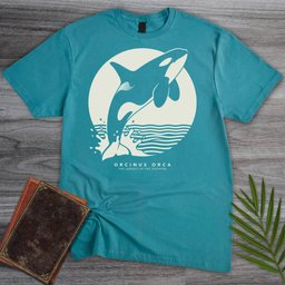 Moonlit Breach Orca T Shirt Gift For Nature Lover