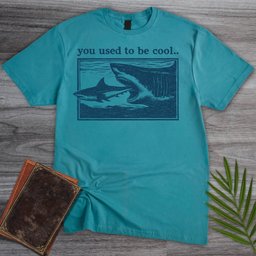 Megalodon To Great White T Shirt Gift For Nature Lover
