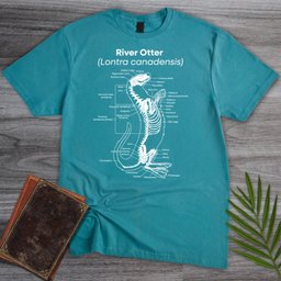 River Otter Anatomy T Shirt Gift For Nature Lover