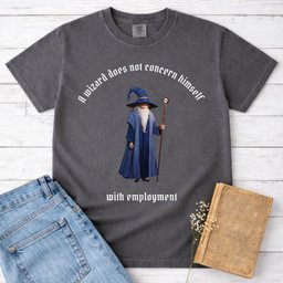 A Wizard Does Not Concern Himself Shirt T Shirt Gift For Cat Lover