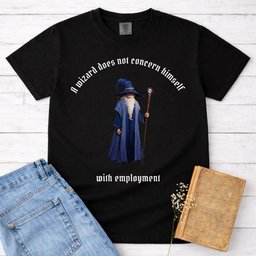 A Wizard Does Not Concern Himself Shirt T Shirt Gift For Cat Lover