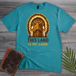 Vintage Stoic First Nation T Shirt Gift For Nature Lover