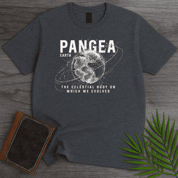 Streetwear Pangea Earth T Shirt Gift For Nature Lover