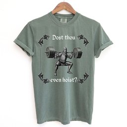 Dost Thou Even Hoist Medieval Knight Shirt T Shirt Gift For Cat Lover