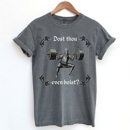 Dost Thou Even Hoist Medieval Knight Shirt T Shirt Gift For Cat Lover