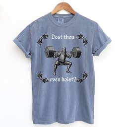 Dost Thou Even Hoist Medieval Knight Shirt T Shirt Gift For Cat Lover