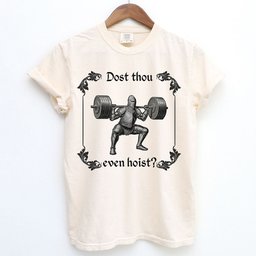 Dost Thou Even Hoist Medieval Knight Shirt T Shirt Gift For Cat Lover