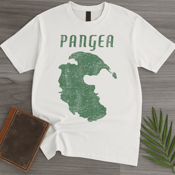 Vintage Distressed Pangea T Shirt Gift For Nature Lover
