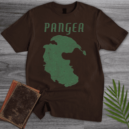 Vintage Distressed Pangea T Shirt Gift For Nature Lover