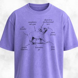 Anatomy Of A French Bulldog T Shirt Gift For Dog Lover