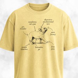 Anatomy Of A French Bulldog T Shirt Gift For Dog Lover