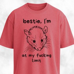 Bestie Im At My Fucking Limit Possum T Shirt Gift For Dog Lover