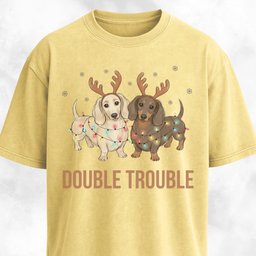 Double Trouble Doxies T Shirt Gift For Dog Lover