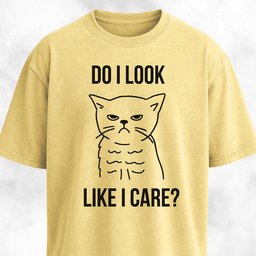 Do I Look Like I Care Grumpy Cat T Shirt Gift For Cat Lover