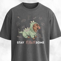Doxie In A Dinosaur Costume T Shirt Gift For Dinosaur Lover