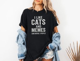 I Like Cats And Memes Sarcastic T Shirt Gift For Cat Lover
